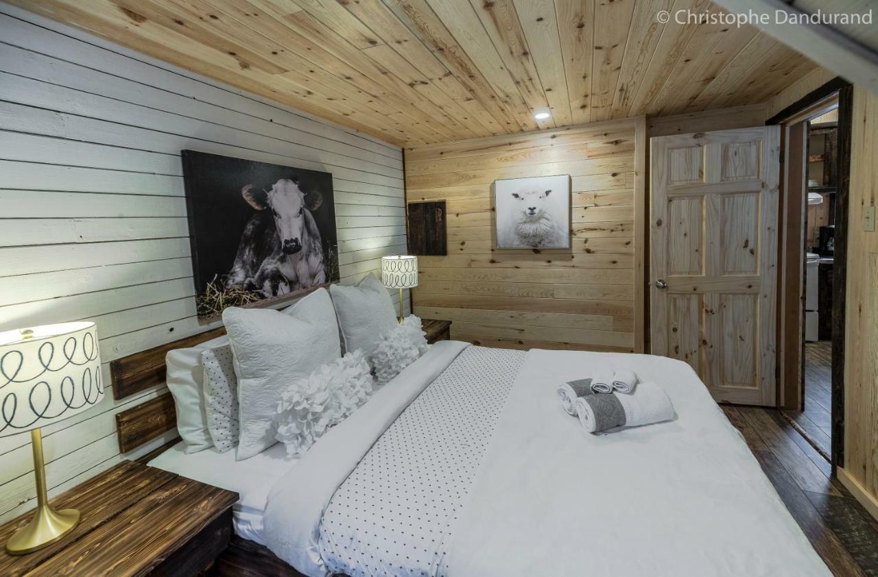 Chalet Le Louna - Les Chalets Spa Canada La Malbaie Buitenkant foto